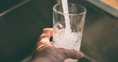 Why You Should Stay Hydrated The Benefits of Drinking Water